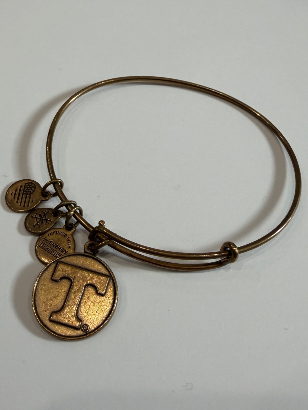 Alex and Ani Bronze-Tone Antique Gold Letter Initial T Charm Bangle Bracelet